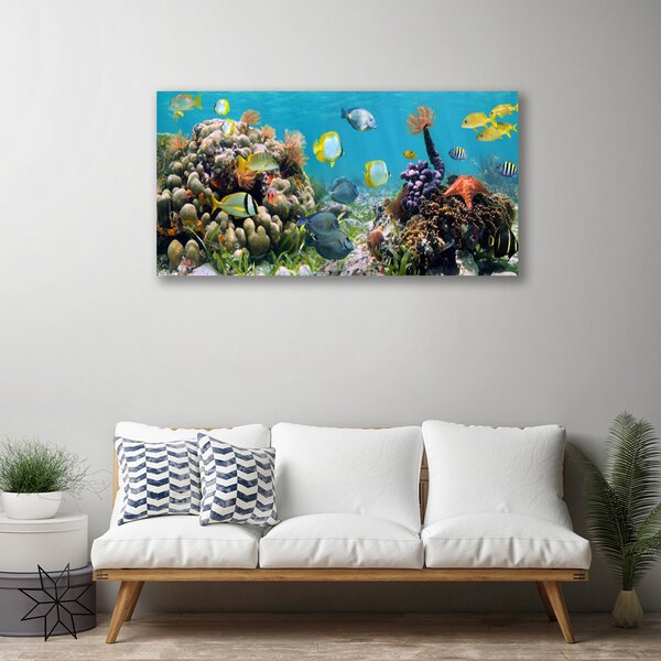 Tablou pe panza canvas Coral Reef Natura Multi