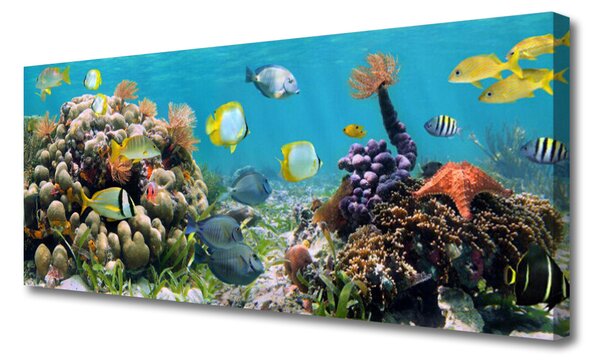 Tablou pe panza canvas Coral Reef Natura Multi