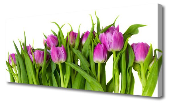 Tablou pe panza canvas Lalele Floral Roz Verde
