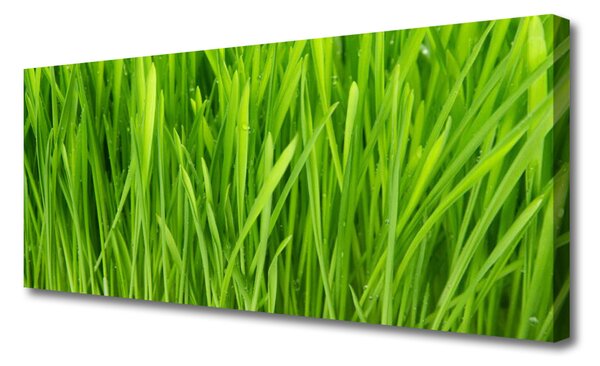 Tablou pe panza canvas Weed Floral Verde