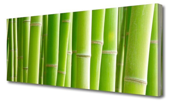 Tablou pe panza canvas Bamboo Tulpini Floral Verde