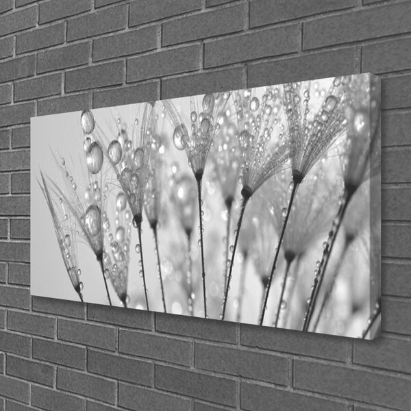 Tablou pe panza canvas Păpădie Floral Gray