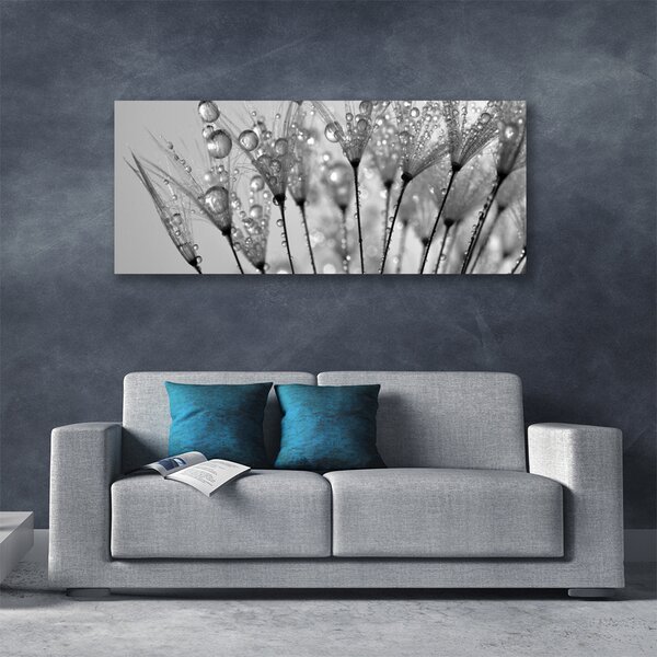 Tablou pe panza canvas Păpădie Floral Gray
