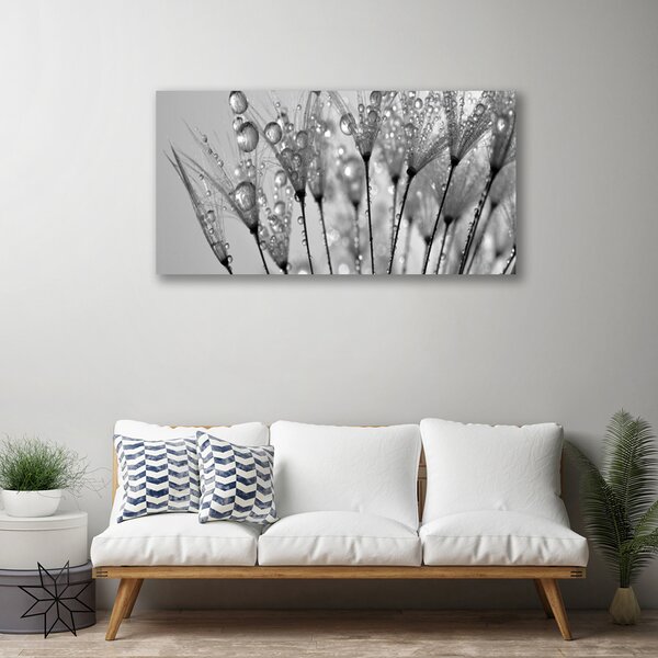 Tablou pe panza canvas Păpădie Floral Gray