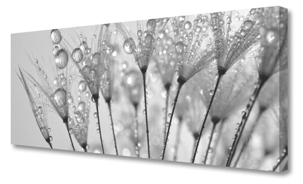 Tablou pe panza canvas Păpădie Floral Gray