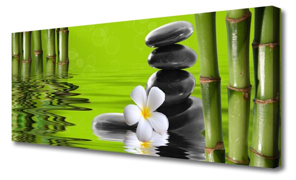 Tablou pe panza canvas Bamboo Tube flori Stones Arta Verde Negru Alb