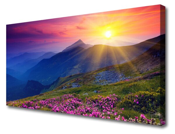 Tablou pe panza canvas Munții flori de luncă Peisaj Albastru Roz Verde Galben