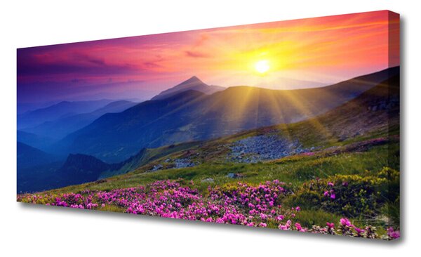 Tablou pe panza canvas Munții flori de luncă Peisaj Albastru Roz Verde Galben