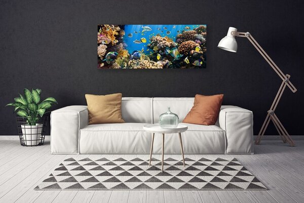 Tablou pe panza canvas Coral Reef Natura Multi