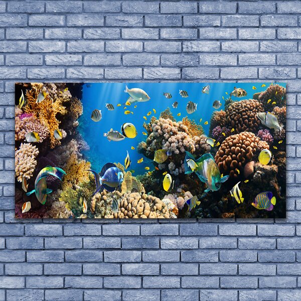 Tablou pe sticla Coral Reef Natura Multi