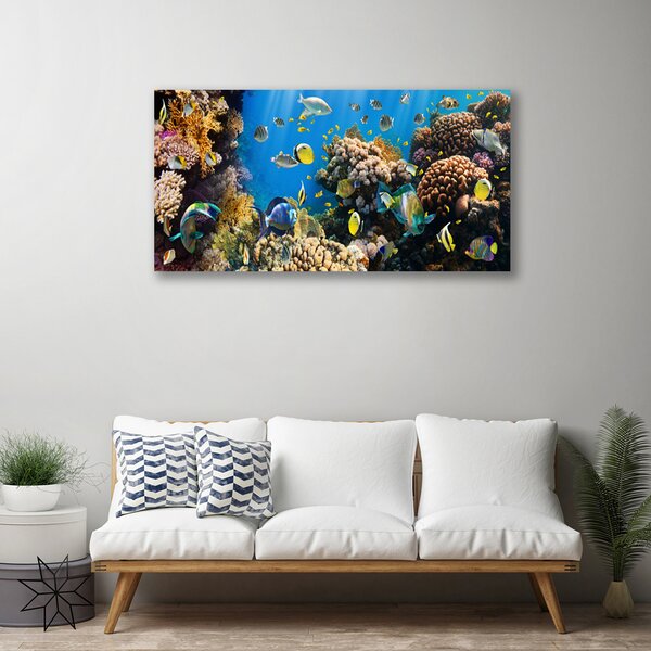Tablou pe panza canvas Coral Reef Natura Multi