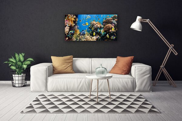 Tablou pe panza canvas Coral Reef Natura Multi