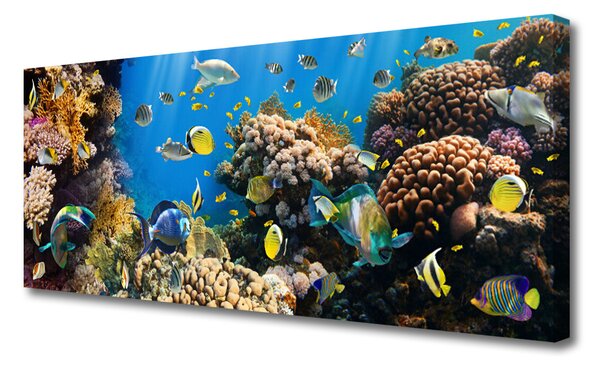 Tablou pe panza canvas Coral Reef Natura Multi