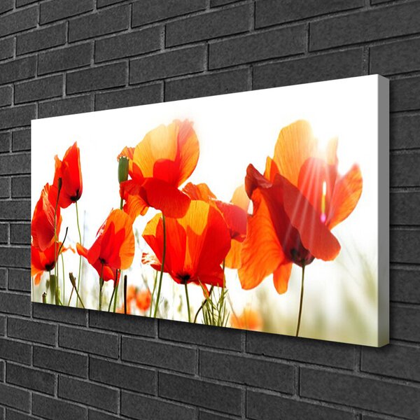 Tablou pe panza canvas Maci Floral Roșu Galben