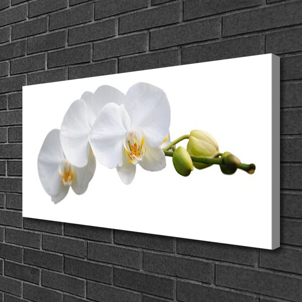 Tablou pe panza canvas Flori Floral alb