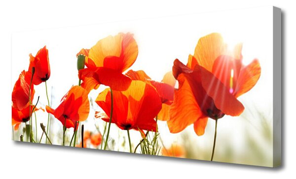 Tablou pe panza canvas Maci Floral Roșu Galben