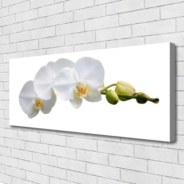 Tablou pe panza canvas Flori Floral alb