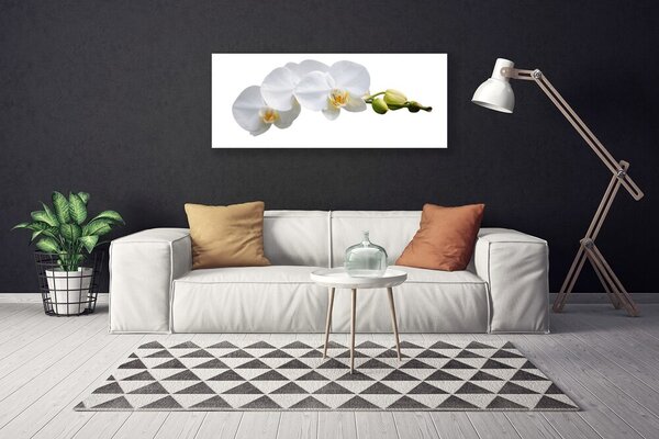 Tablou pe panza canvas Flori Floral alb