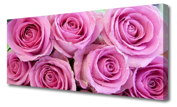 Tablou pe panza canvas Trandafiri roz Floral