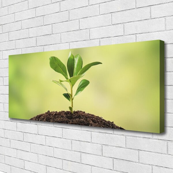 Tablou pe panza canvas Creștere Floral Verde
