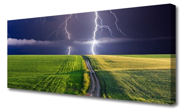 Tablou pe panza canvas Câmp Path Lightning Peisaj Gri Verde Violet Alb