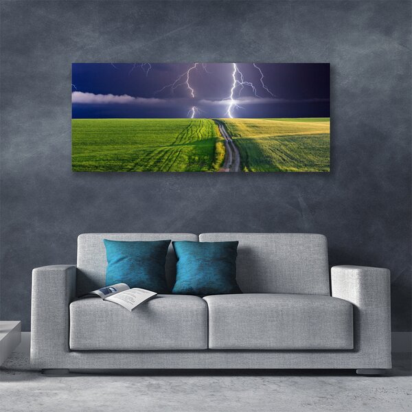 Tablou pe panza canvas Câmp Path Lightning Peisaj Gri Verde Violet Alb