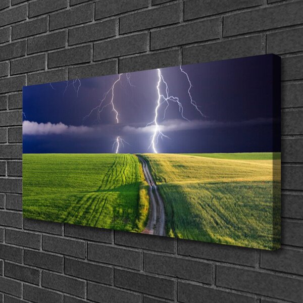 Tablou pe panza canvas Câmp Path Lightning Peisaj Gri Verde Violet Alb