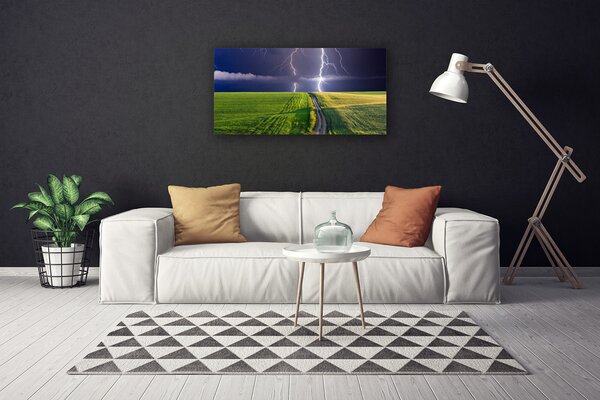 Tablou pe panza canvas Câmp Path Lightning Peisaj Gri Verde Violet Alb