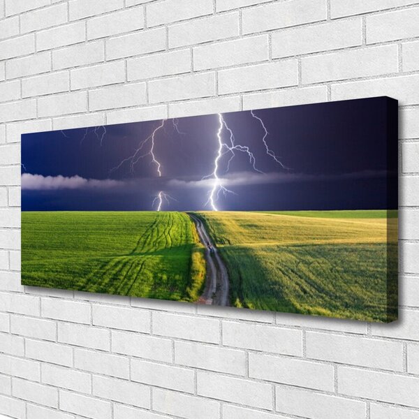 Tablou pe panza canvas Câmp Path Lightning Peisaj Gri Verde Violet Alb