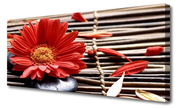 Tablou pe panza canvas Florale flori Roșu Galben