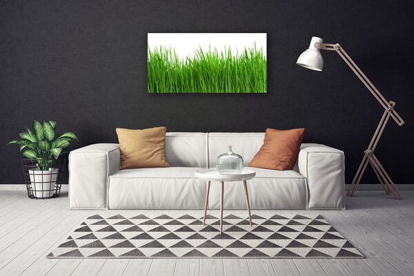 Tablou pe panza canvas Iarbă Natura verde