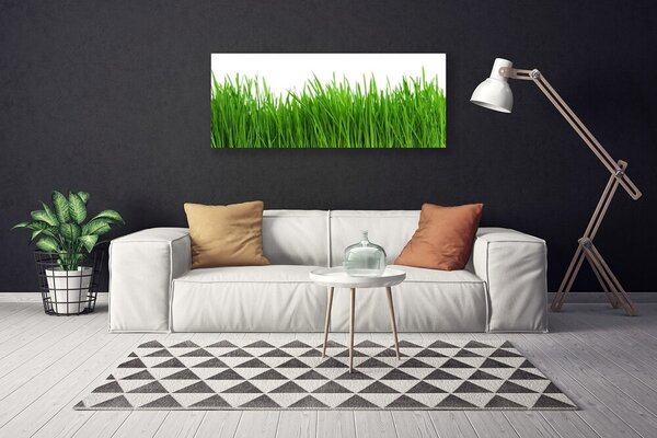 Tablou pe panza canvas Iarbă Natura verde