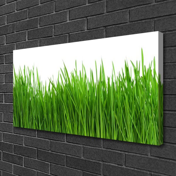 Tablou pe panza canvas Iarbă Natura verde