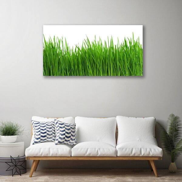Tablou pe panza canvas Iarbă Natura verde