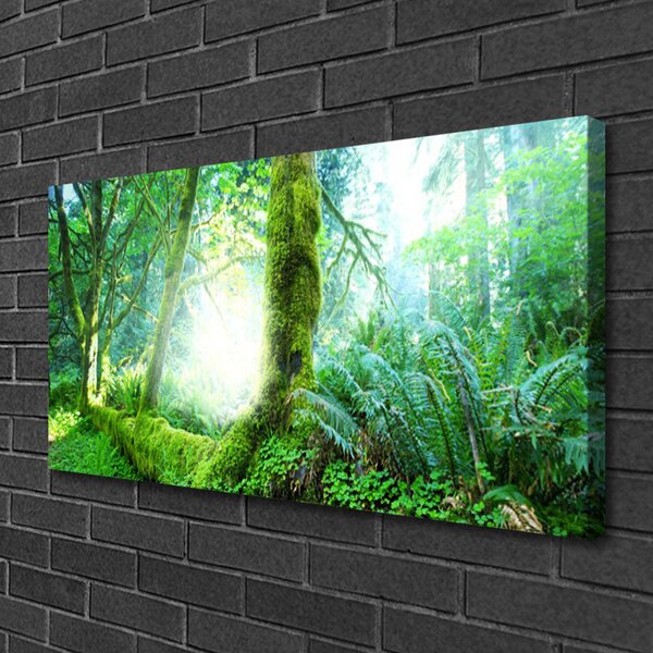 Tablou pe panza canvas Pădurea Verde Natura