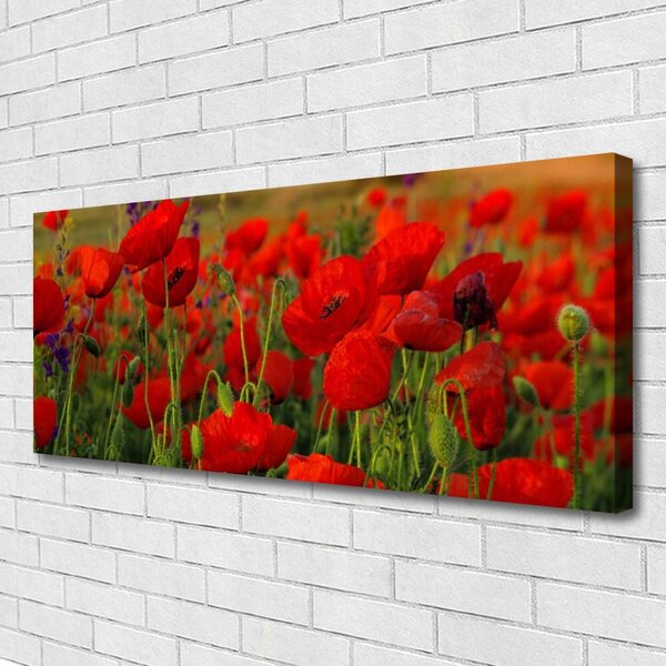 Tablou pe panza canvas Maci Floral Roșu Verde