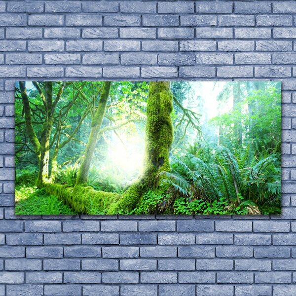 Tablou pe panza canvas Pădurea Verde Natura