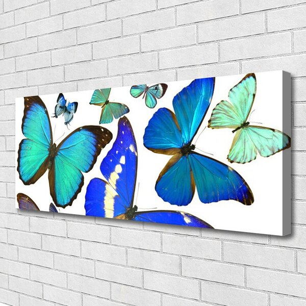 Tablou pe panza canvas Butterfly Natura Albastru Negru Violet