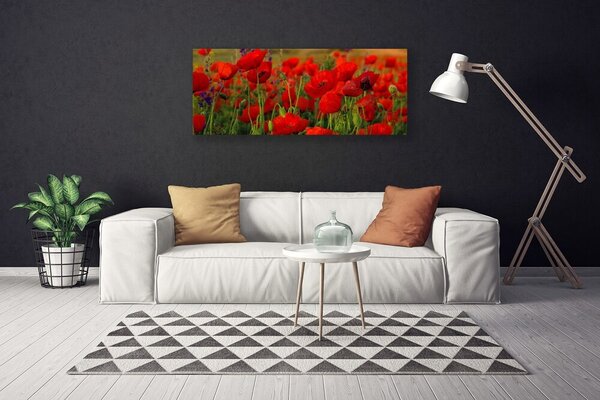 Tablou pe panza canvas Maci Floral Roșu Verde