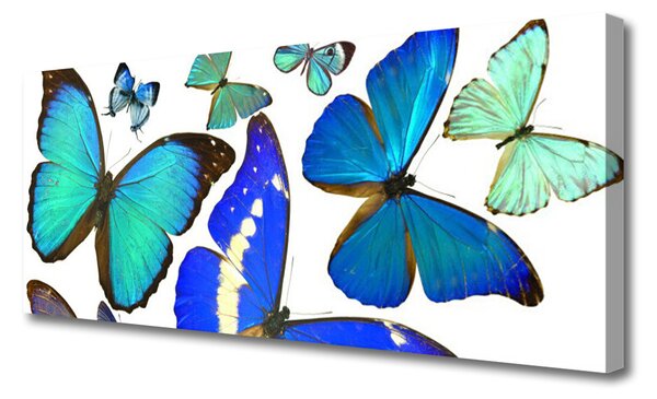 Tablou pe panza canvas Butterfly Natura Albastru Negru Violet