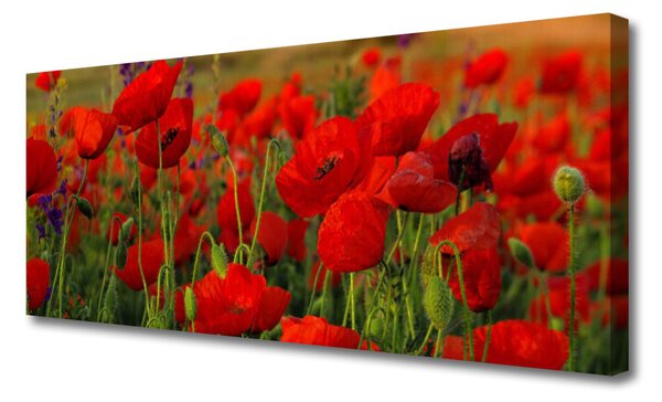 Tablou pe panza canvas Maci Floral Roșu Verde