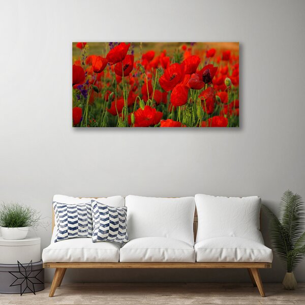Tablou pe panza canvas Maci Floral Roșu Verde