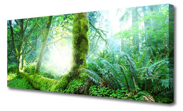 Tablou pe panza canvas Pădurea Verde Natura