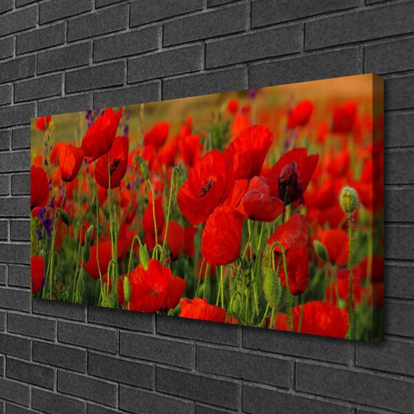 Tablou pe panza canvas Maci Floral Roșu Verde
