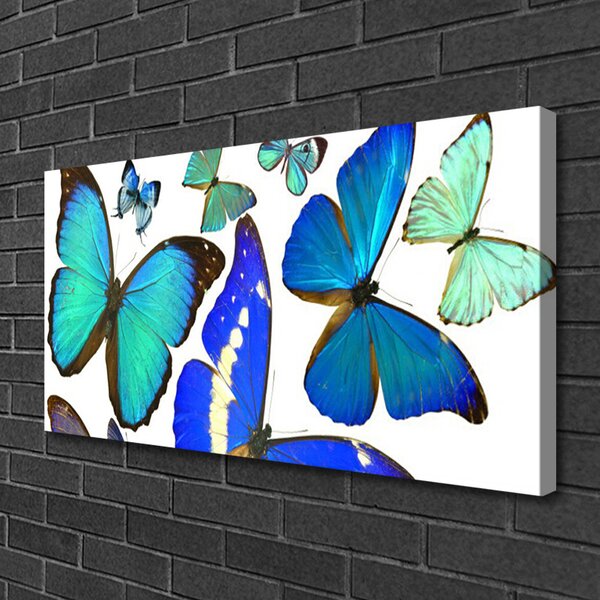 Tablou pe panza canvas Butterfly Natura Albastru Negru Violet