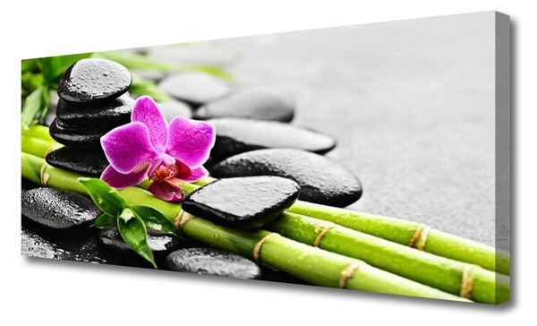 Tablou pe panza canvas Bamboo Tube flori Stones Arta Verde Rosu Negru