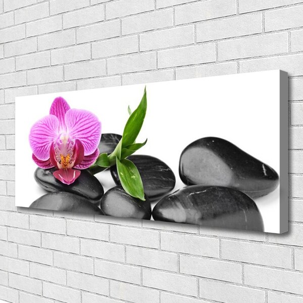 Tablou pe panza canvas Pietrele de flori Arta roz negru