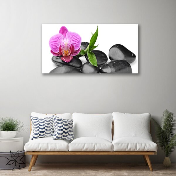Tablou pe panza canvas Pietrele de flori Arta roz negru