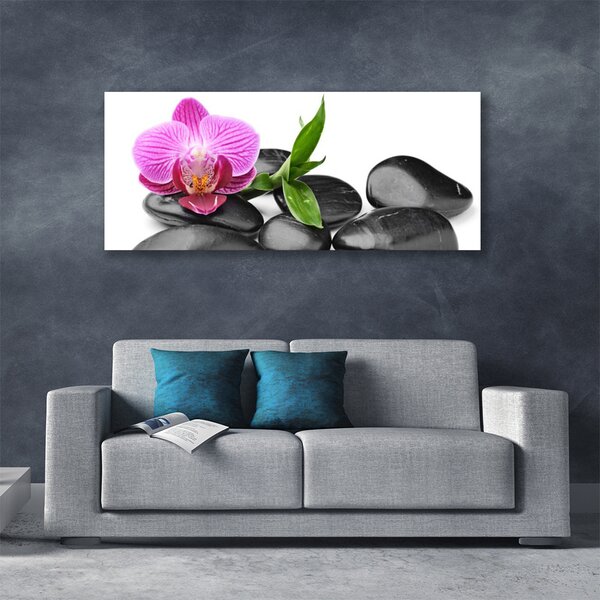 Tablou pe panza canvas Pietrele de flori Arta roz negru