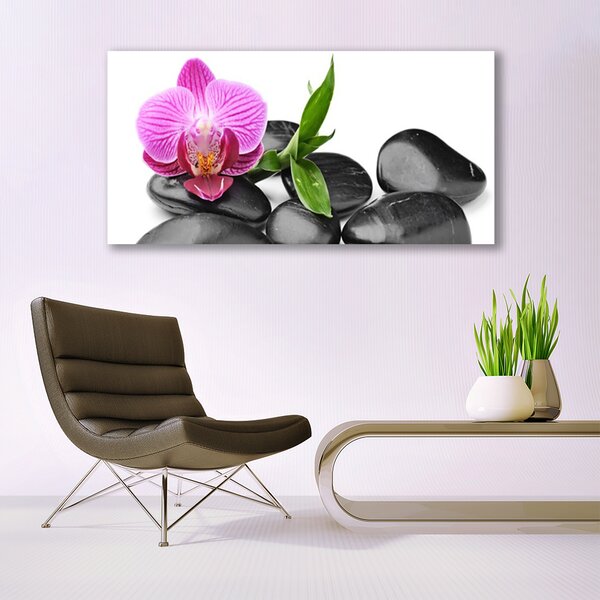 Tablou pe panza canvas Pietrele de flori Arta roz negru